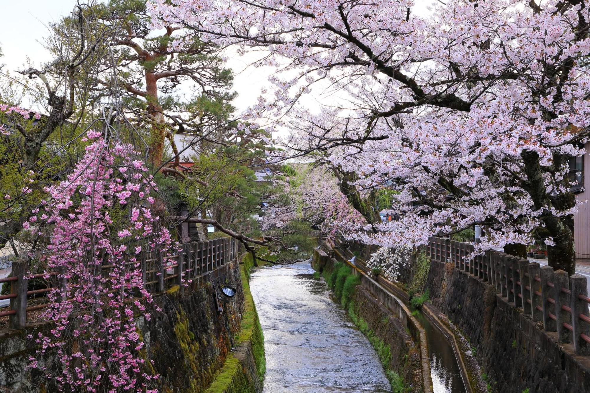 Rikka Fukiya Daire Takayama  Dış mekan fotoğraf